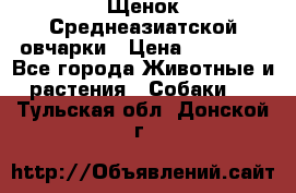 Щенок Среднеазиатской овчарки › Цена ­ 35 000 - Все города Животные и растения » Собаки   . Тульская обл.,Донской г.